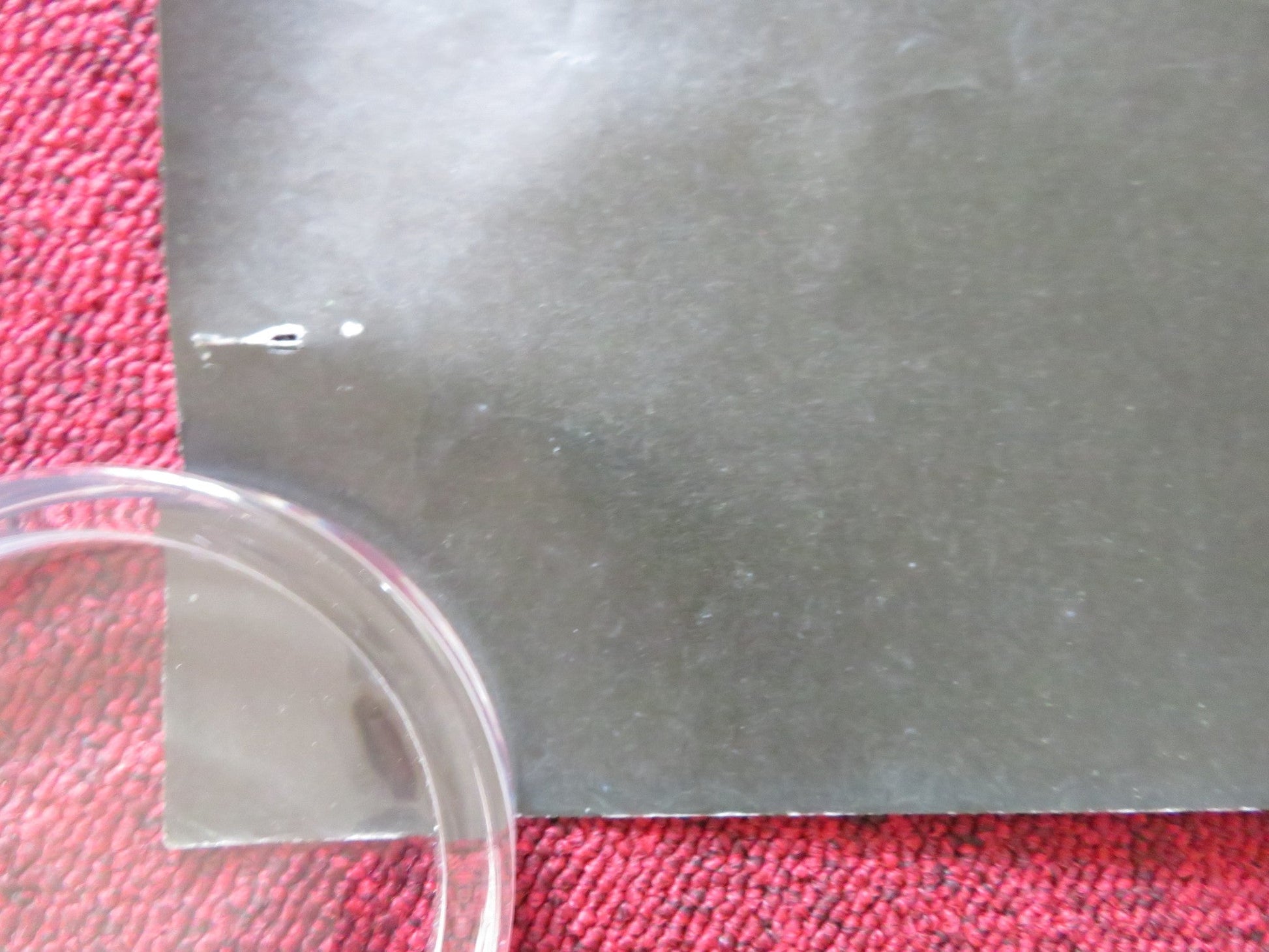 FRANTIC UK QUAD (30"x 40") ROLLED POSTER HARRISON FORD BETTY BUCKLEY 1988 Rendezvous Cinema Movie posters