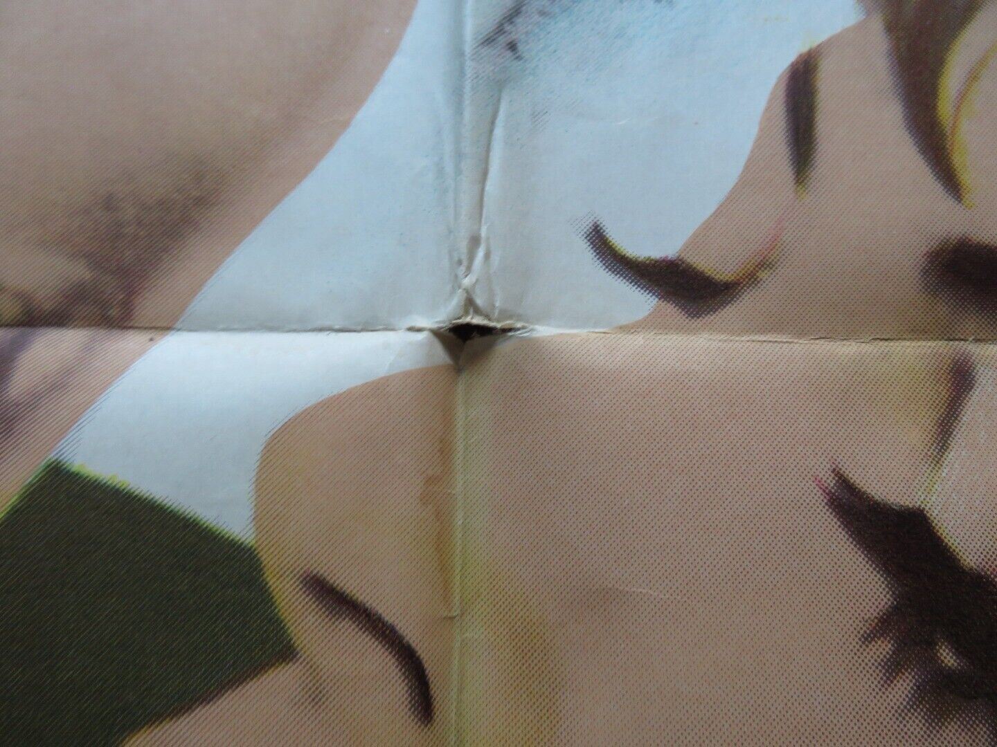 FRAULIEIN DOKTOR ARGENTINA ONE SHEET POSTER SUZY KENDALL KENNETH MORE 1969 Movie posters