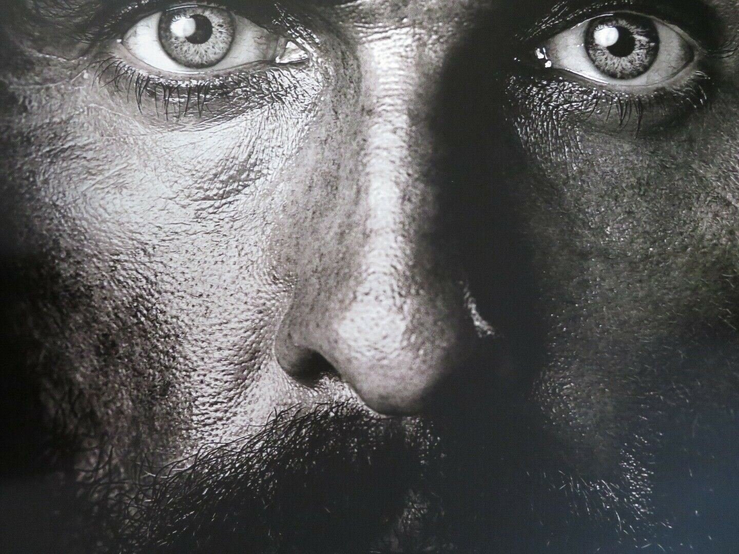 FREE STATE OF JONES US ONE SHEET ROLLED POSTER MATTHEW MCCONAUGHEY 2016 Rendezvous Cinema Movie posters