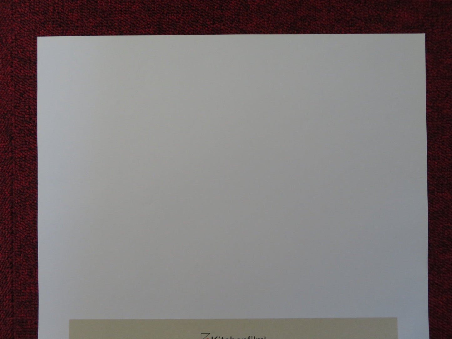 FREE TO RUN ITALIAN LOCANDINA POSTER DENIS ALCADE NEIL AMDUR 2016 Rendezvous Cinema Movie posters