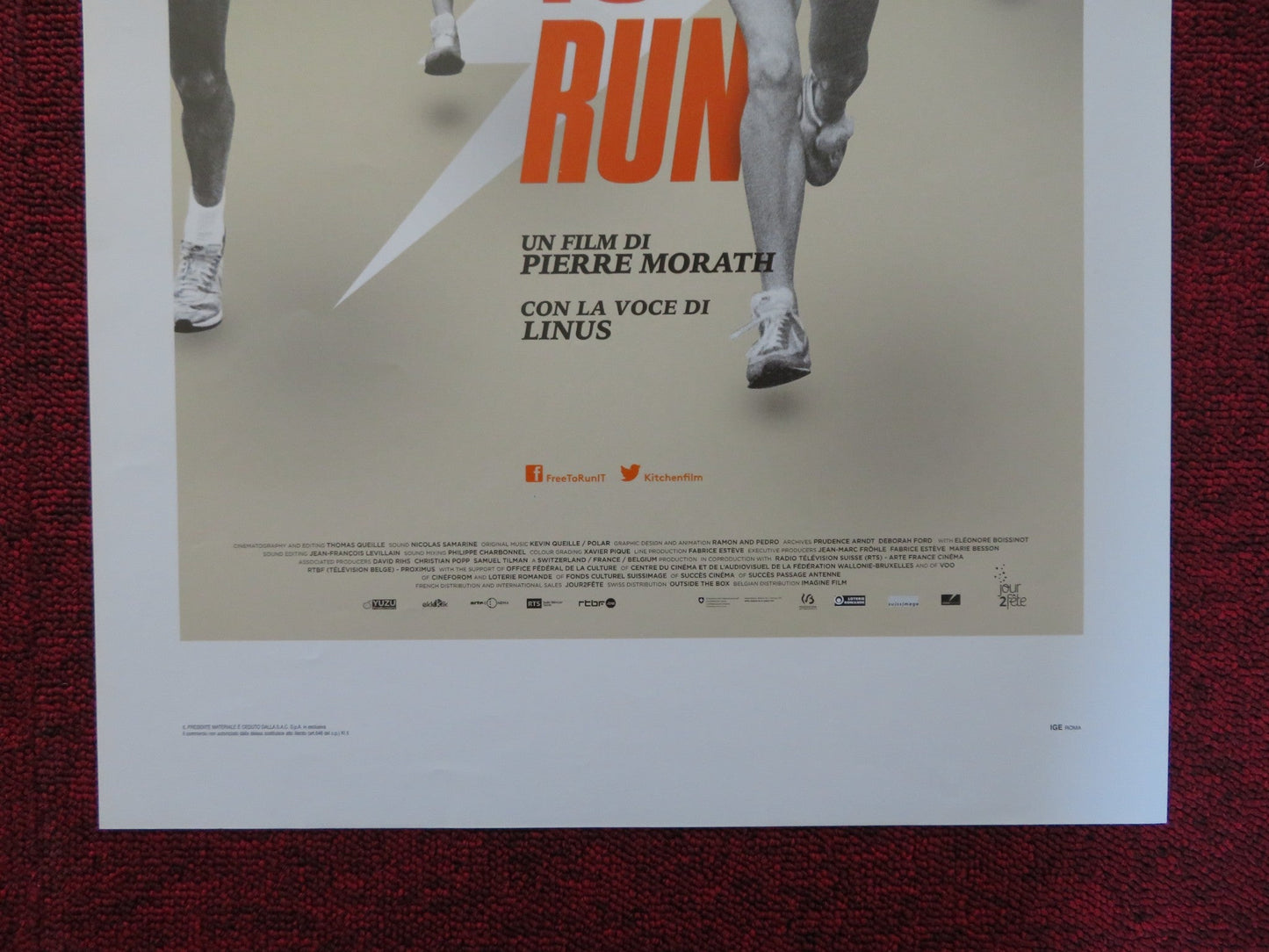 FREE TO RUN ITALIAN LOCANDINA POSTER DENIS ALCADE NEIL AMDUR 2016 Rendezvous Cinema Movie posters