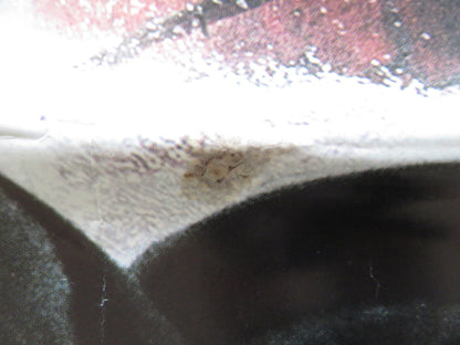 FREE WILLY 3: THE RESCUE UK QUAD POSTER FOLDED JASON JAMES RICHTER 1997 Rendezvous Cinema Movie posters