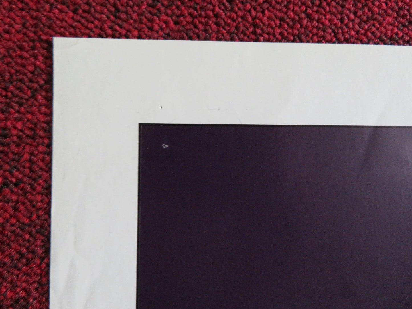 FRESH HORSES FOLDED US ONE SHEET POSTER MOLLY RINGWALD ANDREW MCCARTHY 1988 Rendezvous Cinema Movie posters