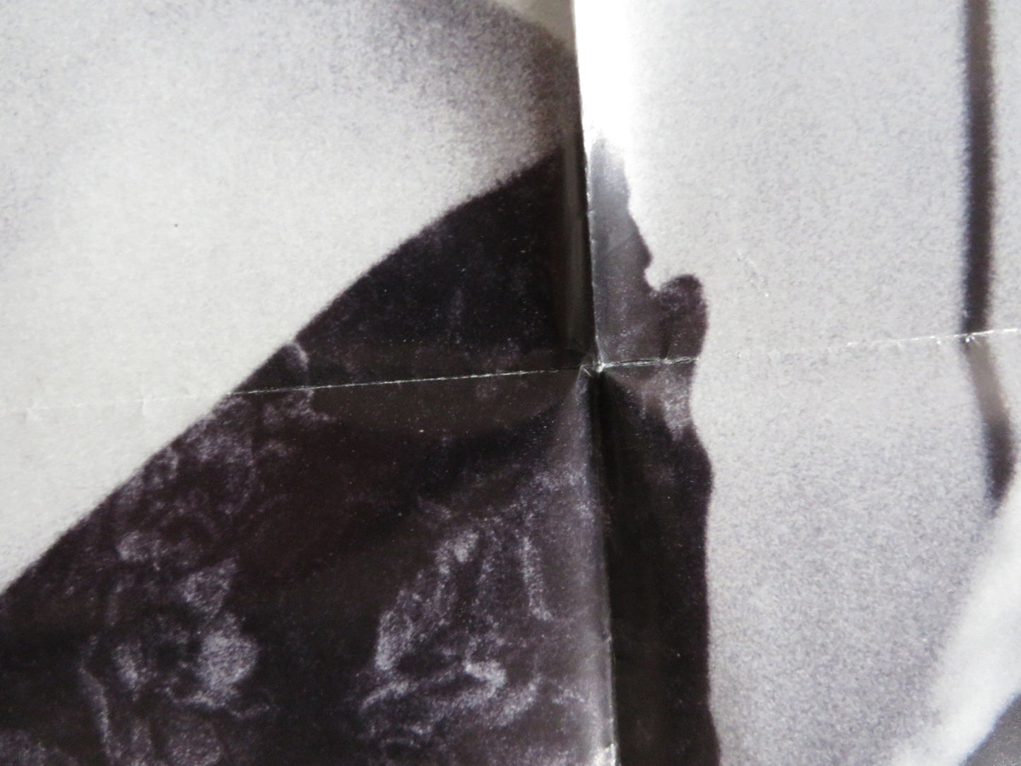 FRESH HORSES FOLDED US ONE SHEET POSTER MOLLY RINGWALD ANDREW MCCARTHY 1988 Rendezvous Cinema Movie posters