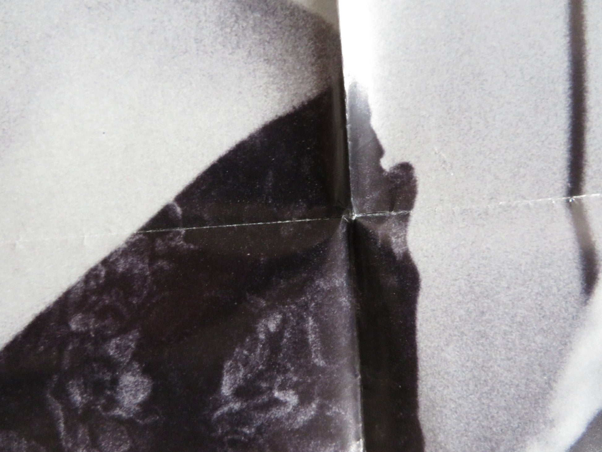 FRESH HORSES FOLDED US ONE SHEET POSTER MOLLY RINGWALD ANDREW MCCARTHY 1988 Rendezvous Cinema Movie posters