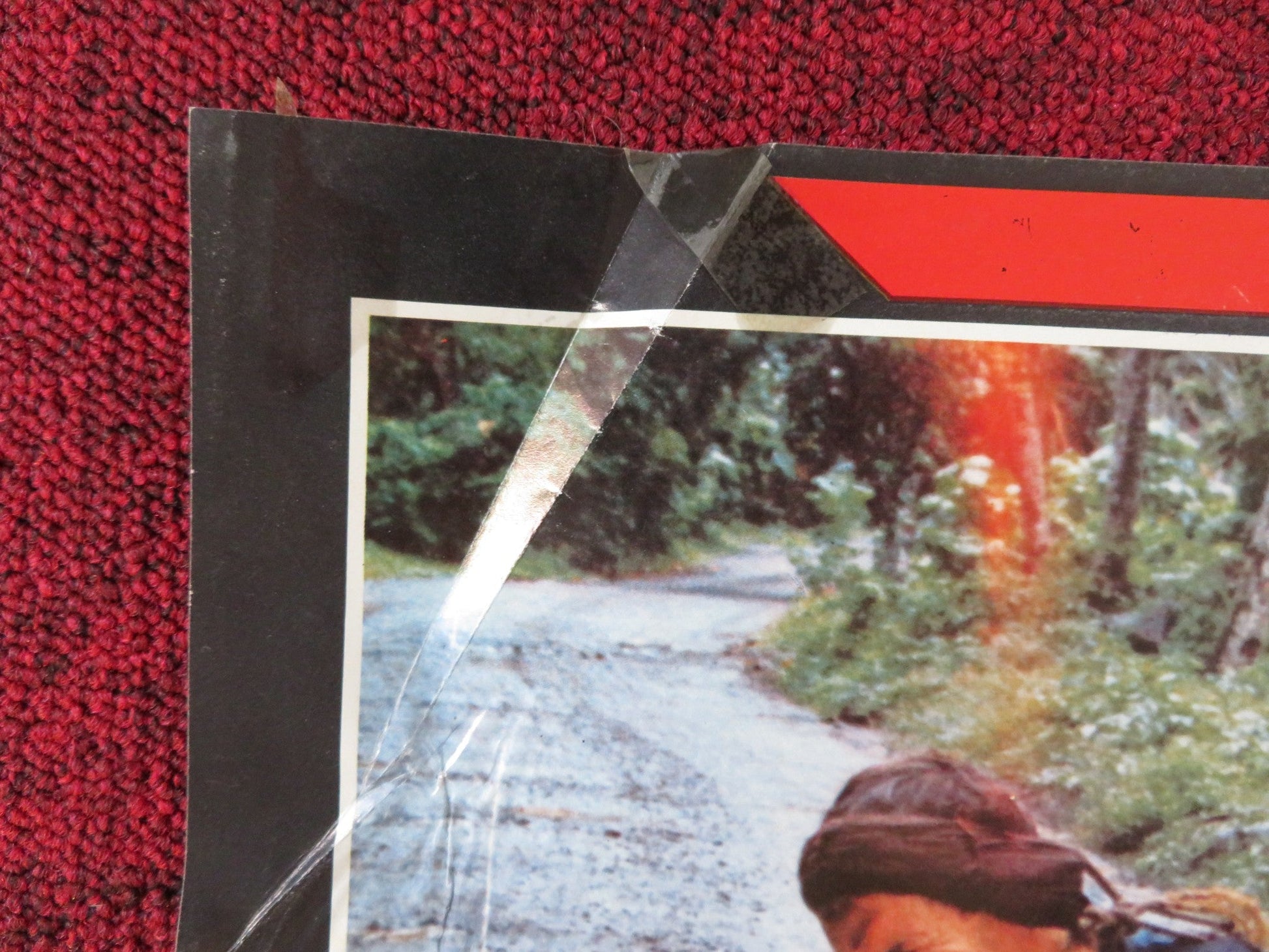 FUGA DALL'ARCIPELAGO MALEDETTO - C ITALIAN FOTOBUSTA POSTER DAVID WARBECK 1982 Rendezvous Cinema Movie posters