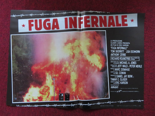 FUGA INFERNALE - E ITALIAN FOTOBUSTA POSTER TOM SKERRITT LISA EICHHORN 1986 Rendezvous Cinema Movie posters