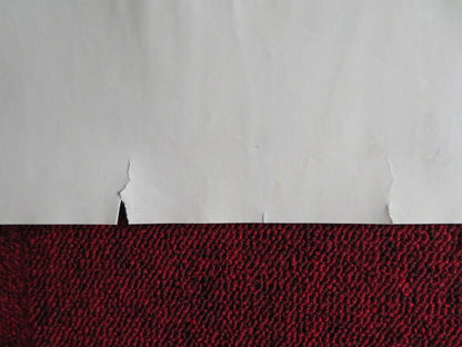 FUN WITH DICK AND JANE UK QUAD (30"x 40") ROLLED POSTER JIM CARREY LEONI 2005 Rendezvous Cinema Movie posters