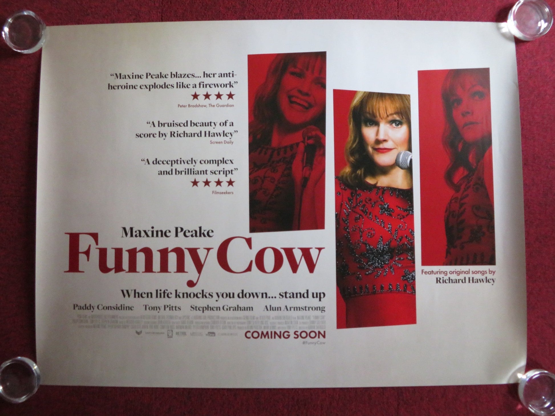 FUNNY COW UK QUAD (30"x 40") ROLLED POSTER MAXINE PEAKE MACY SHACKLETON 2017 Rendezvous Cinema Movie posters