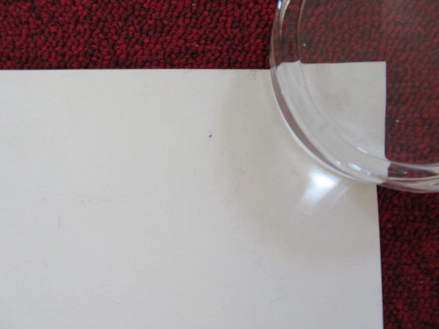 FUNNY PEOPLE UK QUAD (30"x 40") ROLLED POSTER ADAM SANDLER SETH ROGEN 2009 Rendezvous Cinema Movie posters