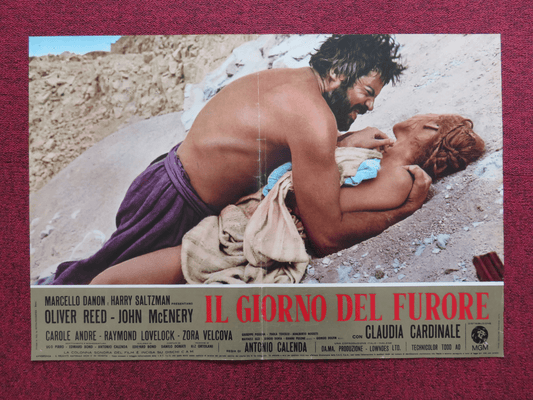 FURY ITALIAN FOTOBUSTA POSTER OLIVER REED JOHN MCENERY 1973 Rendezvous Cinema Movie posters