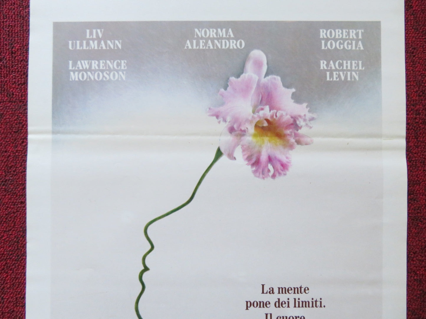 GABY: A TRUE STORY ITALIAN LOCANDINA POSTER LIV ULLMAN NORMA ALEANDRO 1988 Rendezvous Cinema Movie posters