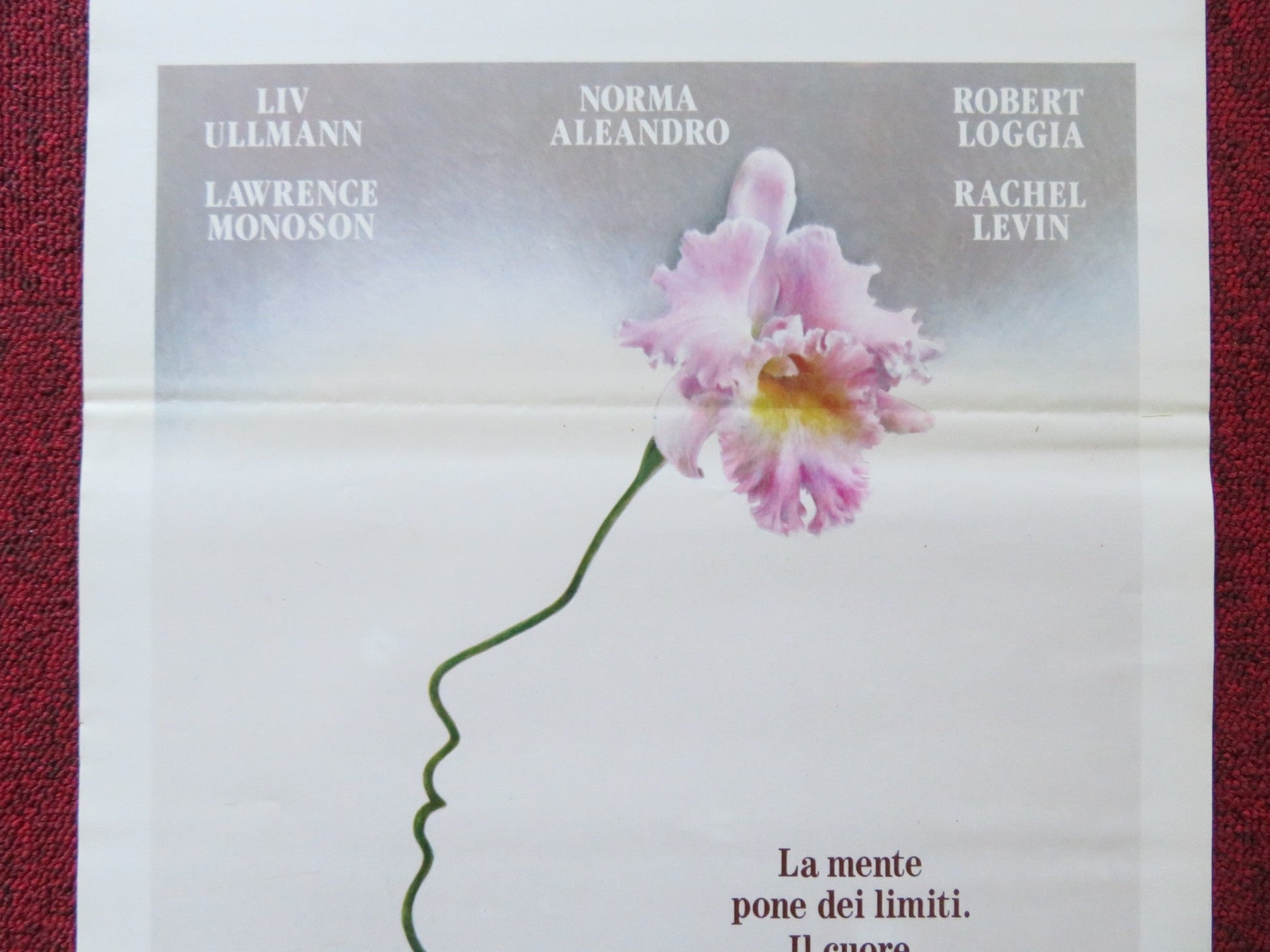 GABY: A TRUE STORY ITALIAN LOCANDINA POSTER LIV ULLMAN NORMA ALEANDRO 1988 Rendezvous Cinema Movie posters