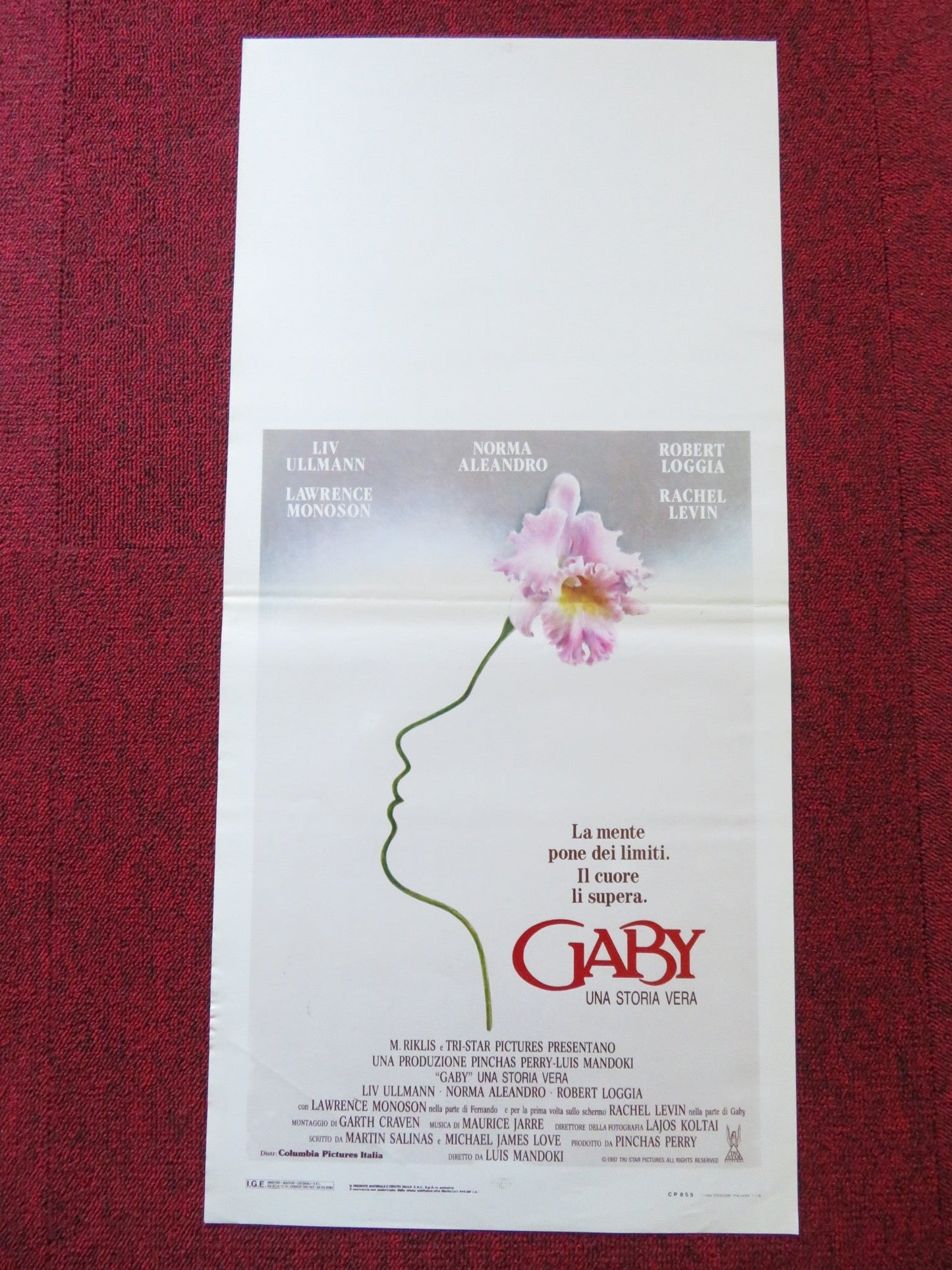 GABY: A TRUE STORY ITALIAN LOCANDINA POSTER LIV ULLMAN NORMA ALEANDRO 1988 Rendezvous Cinema Movie posters