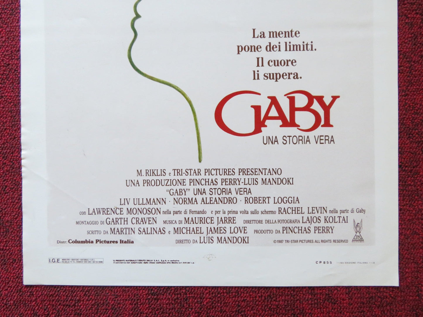 GABY: A TRUE STORY ITALIAN LOCANDINA POSTER LIV ULLMAN NORMA ALEANDRO 1988 Rendezvous Cinema Movie posters