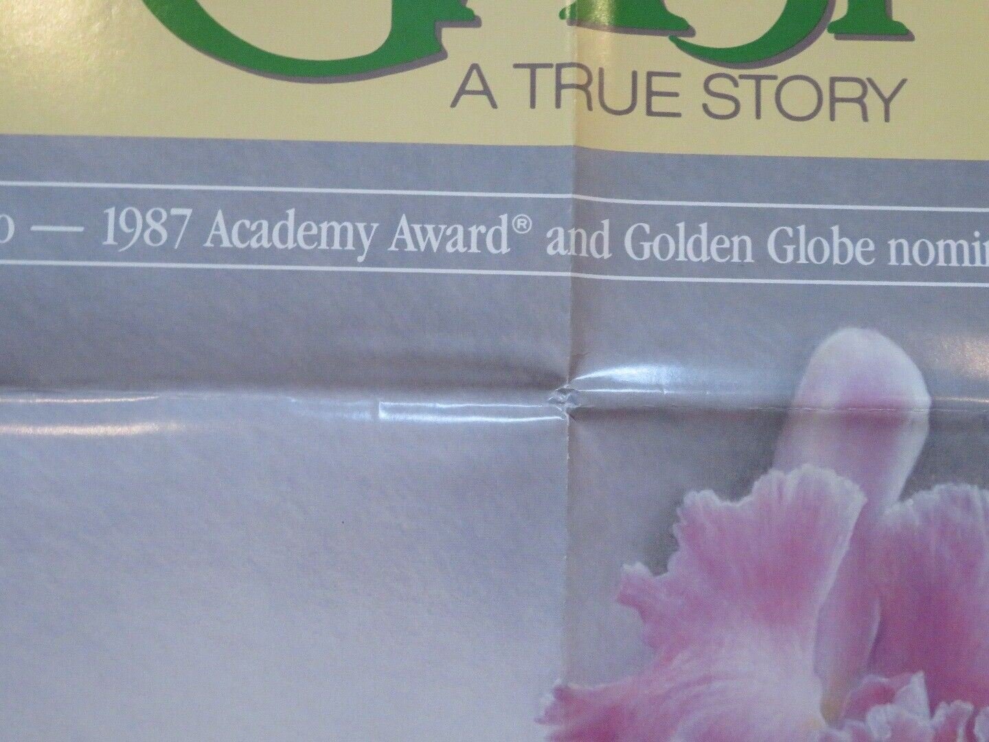 GABY - A TRUE STORY VIDEO VHS US ONE SHEET POSTER FOLDED NORMA ALEANDRO '87 Movie posters