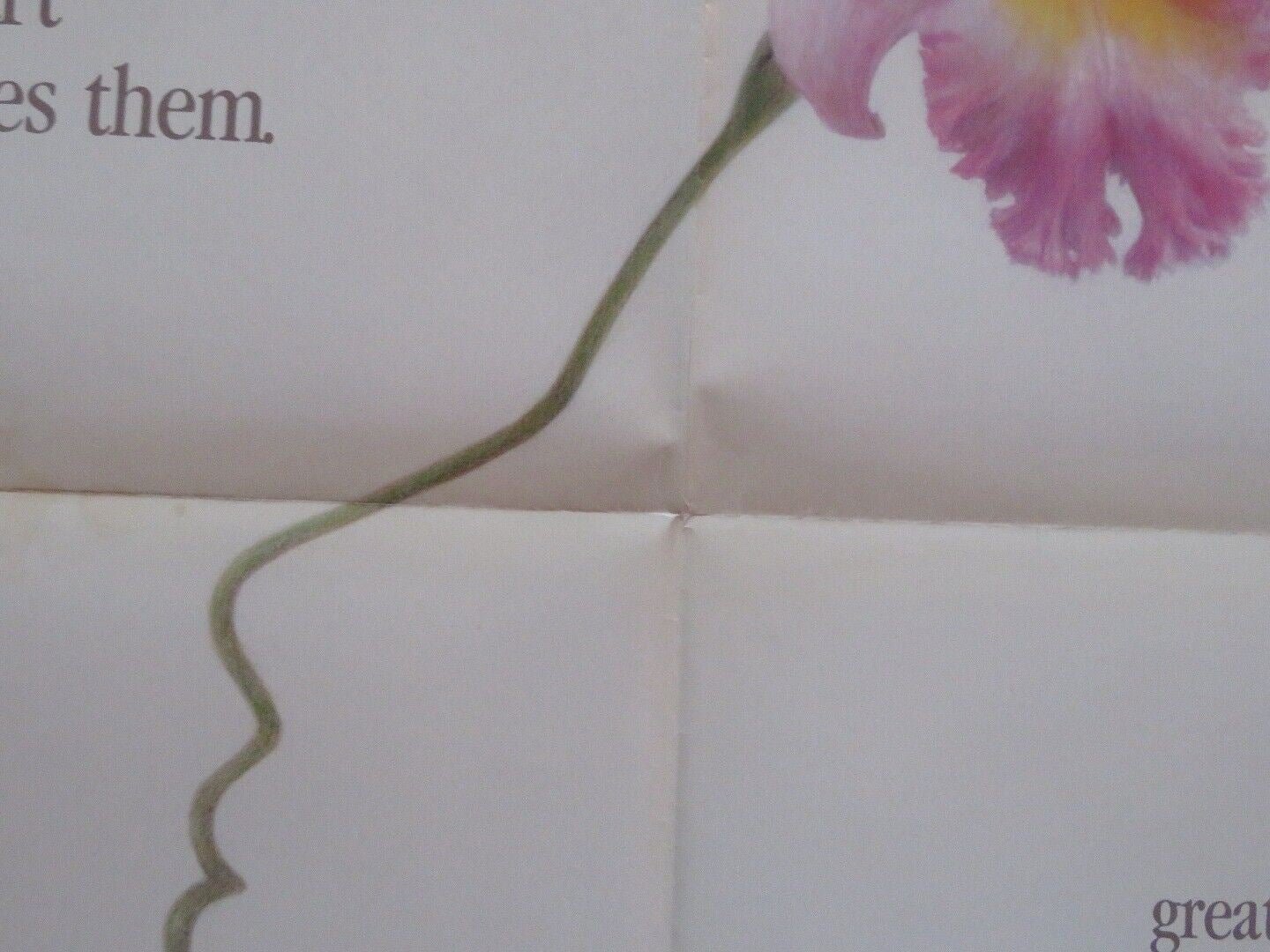 GABY - A TRUE STORY VIDEO VHS US ONE SHEET POSTER FOLDED NORMA ALEANDRO '87 Movie posters