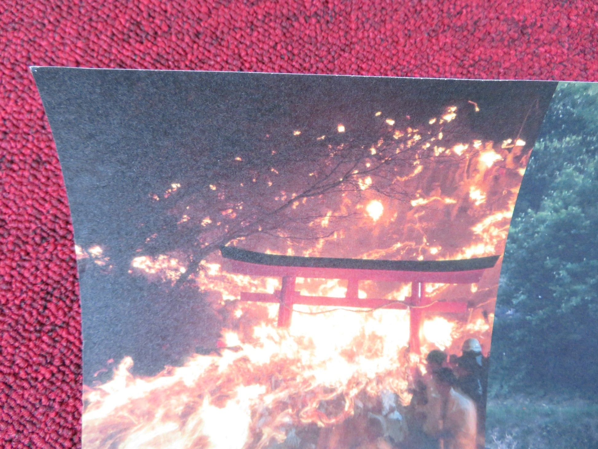 GAIA SYMPHONY VII JAPANESE B2 POSTER ANDREW WEIL TAKAKO TAKANO 2007 Rendezvous Cinema Movie posters