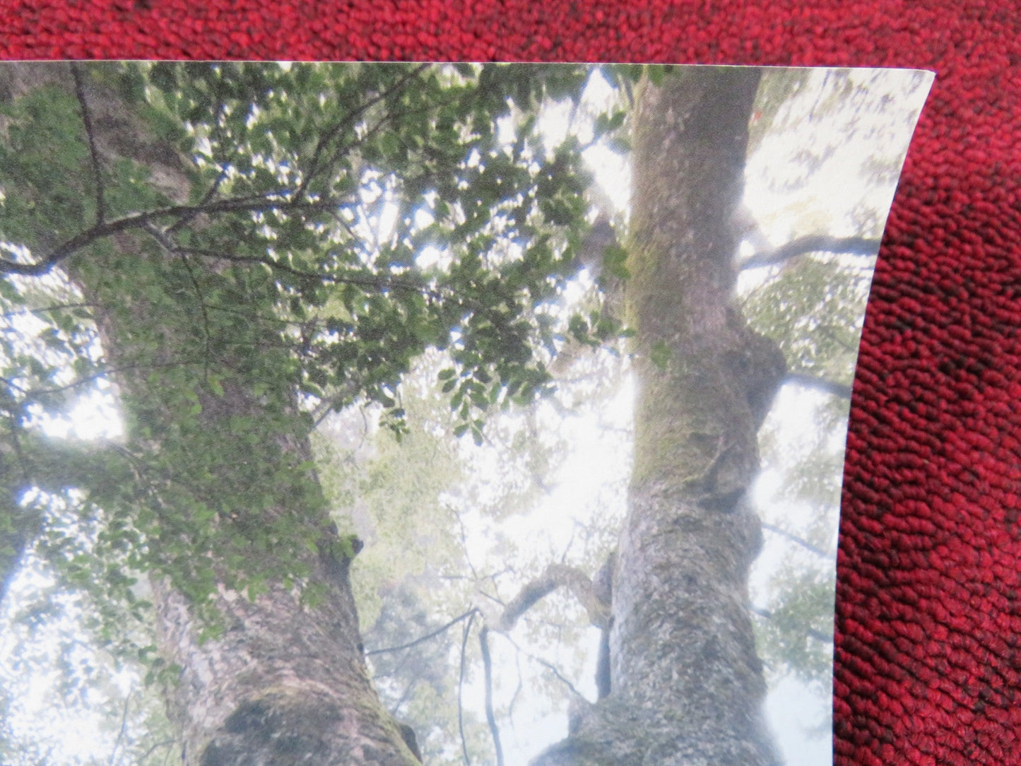 GAIA SYMPHONY VII JAPANESE B2 POSTER ANDREW WEIL TAKAKO TAKANO 2007 Rendezvous Cinema Movie posters