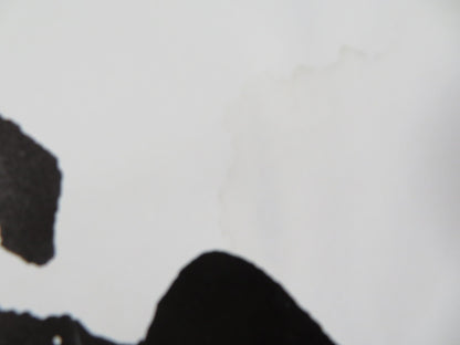 GALLIPOLI - A FOLDED US ONE SHEET POSTER MEL GIBSON MARK LEE 1975 Rendezvous Cinema Movie posters