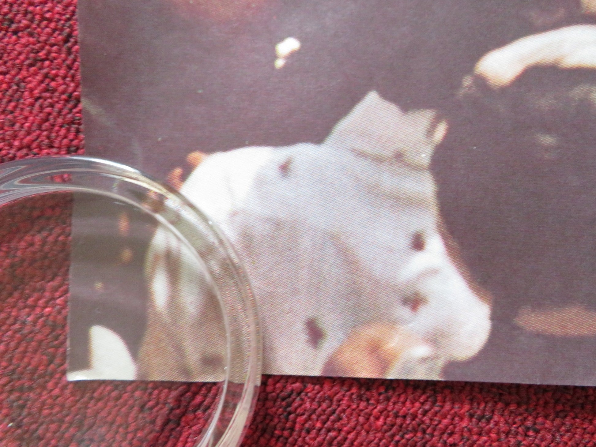 GANDHI UK QUAD (30"x 40") ROLLED POSTER BEN KINGSLEY ROSHAN SETH 1982 Rendezvous Cinema Movie posters