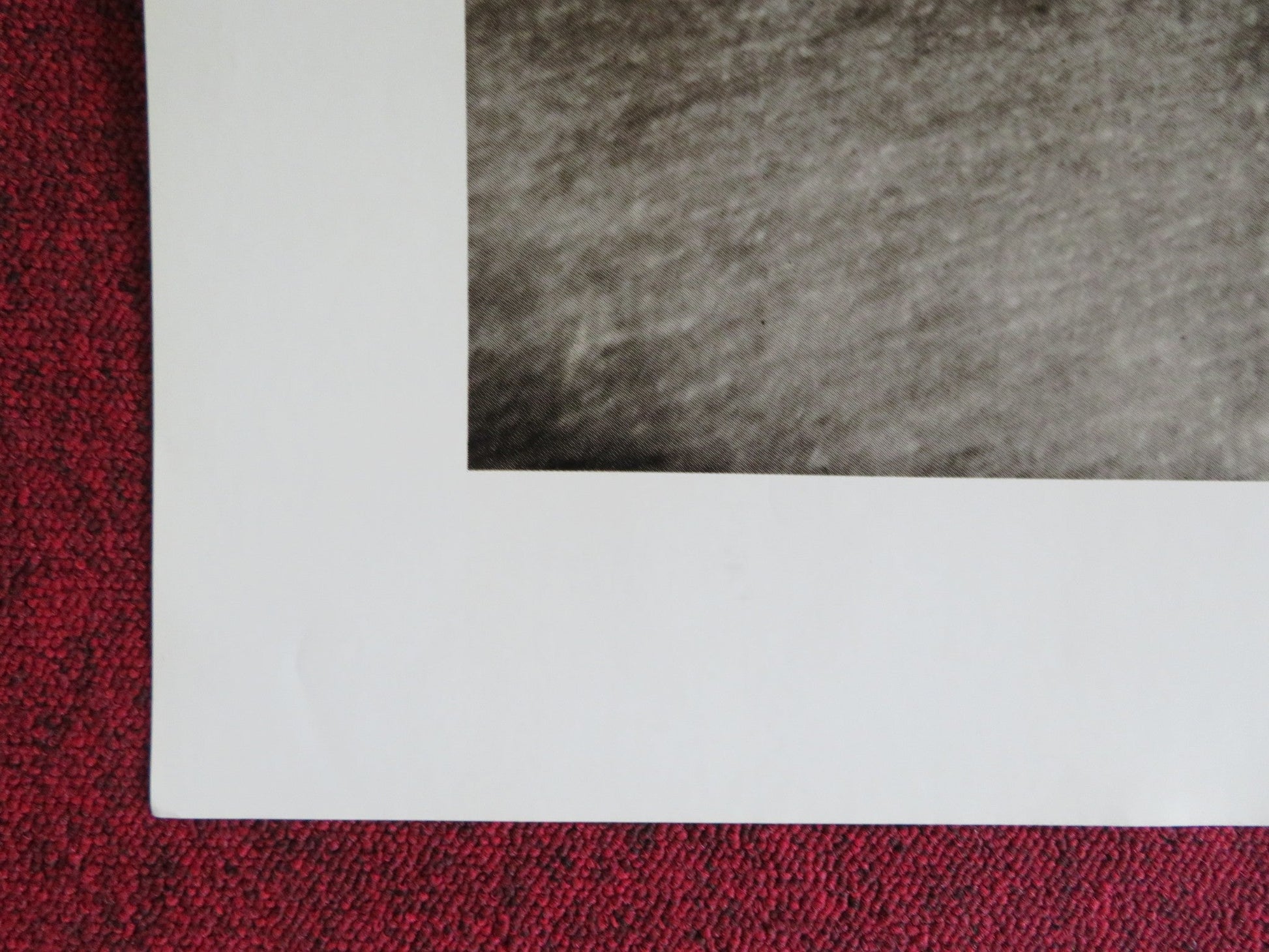 GANGSTER GIRLS / MAFIA GIRLS US TRI FOLDED ONE SHEET ROLLED POSTER SERENA 1975 Rendezvous Cinema Movie posters