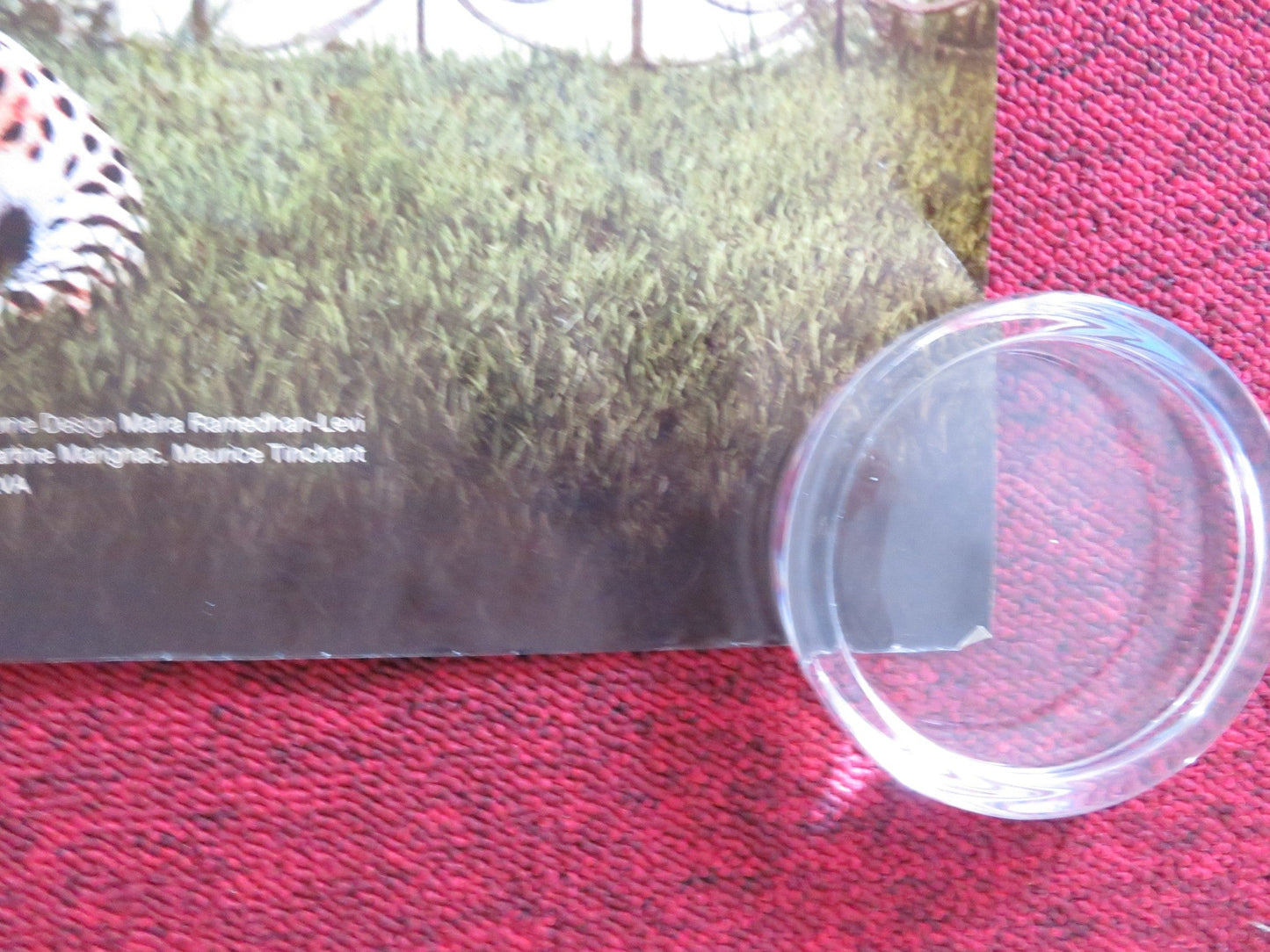 GARDENS IN AUTUMN UK QUAD (30"x 40") ROLLED POSTER SEVERIN BLANCHET 2006 Rendezvous Cinema Movie posters