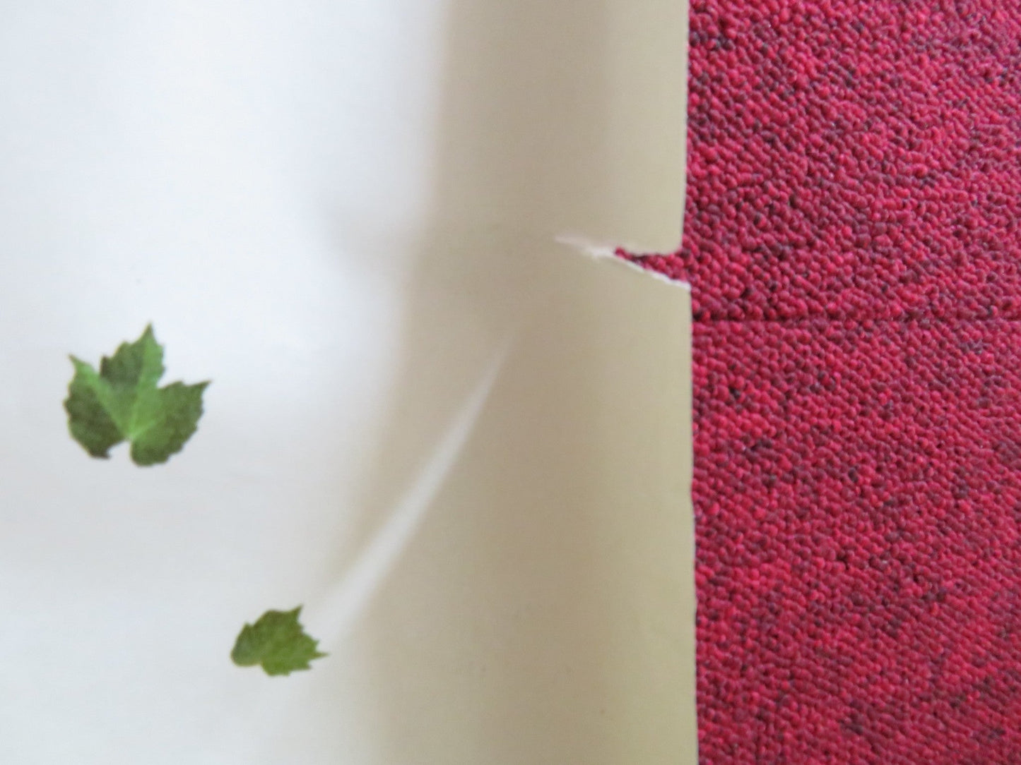 GARDENS IN AUTUMN UK QUAD (30"x 40") ROLLED POSTER SEVERIN BLANCHET 2006 Rendezvous Cinema Movie posters