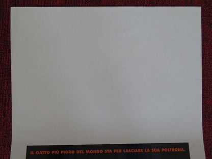 GARFIELD ITALIAN LOCANDINA (27.5"x13") POSTER BRECKIN MEYER JENNIFER LOVE HEWITT Movie posters