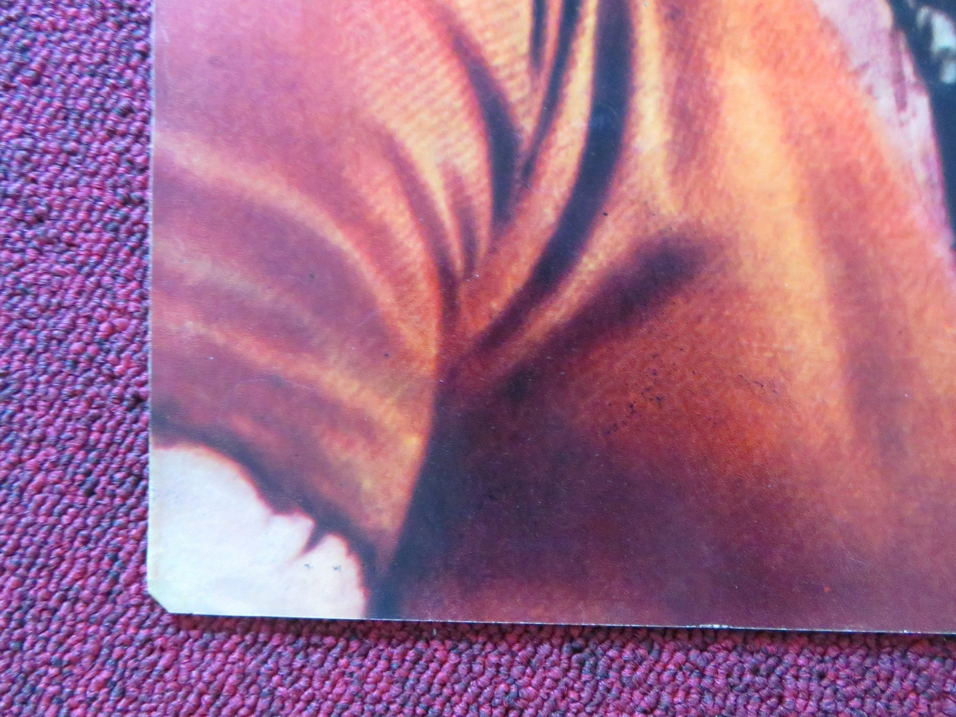 GERONIMO - B ITALIAN FOTOBUSTA POSTER CHUCK CONNORS ADAM WEST 1962 Rendezvous Cinema Movie posters