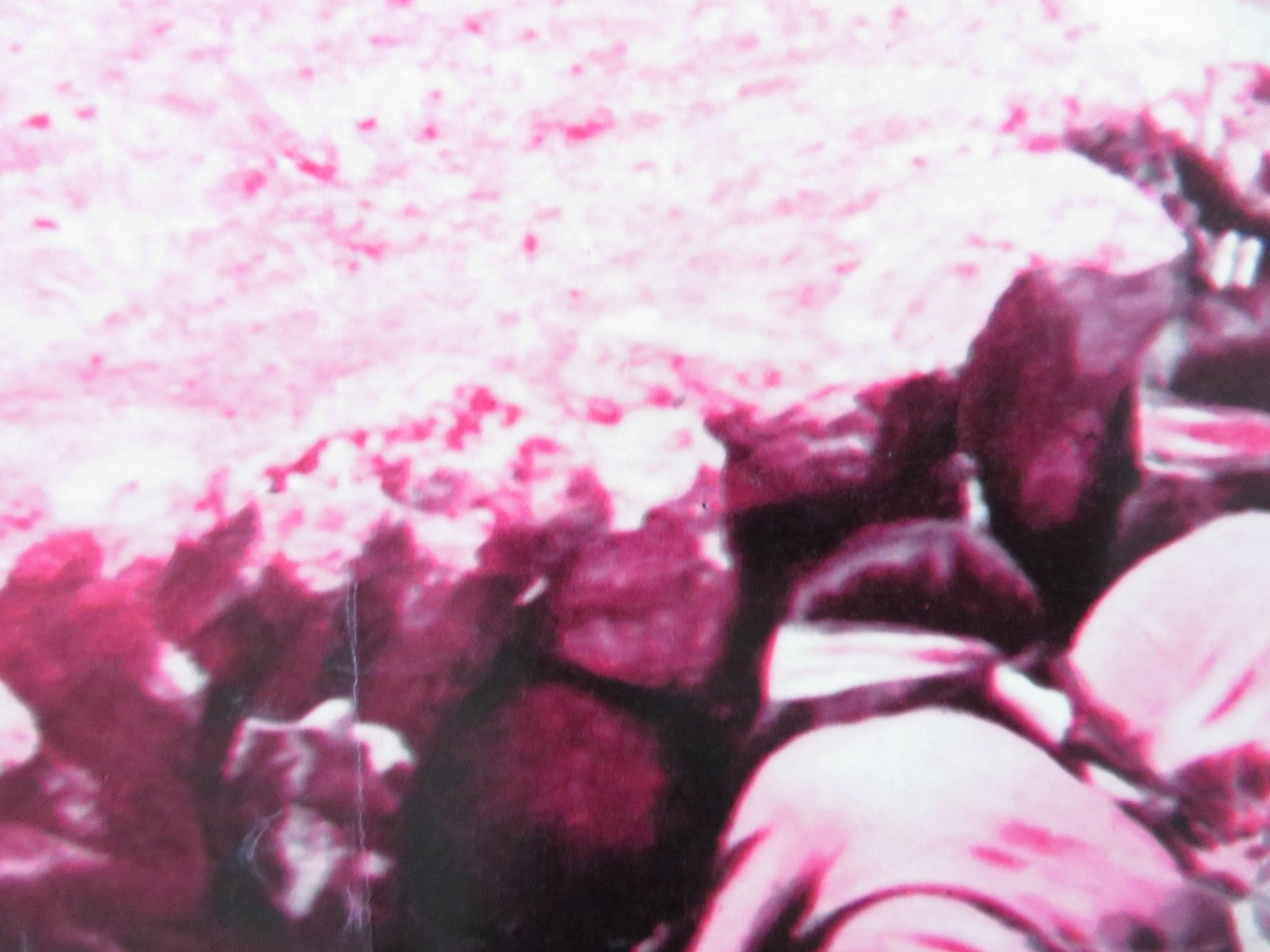 GERONIMO - E ITALIAN FOTOBUSTA POSTER CHUCK CONNORS ADAM WEST 1962 Rendezvous Cinema Movie posters