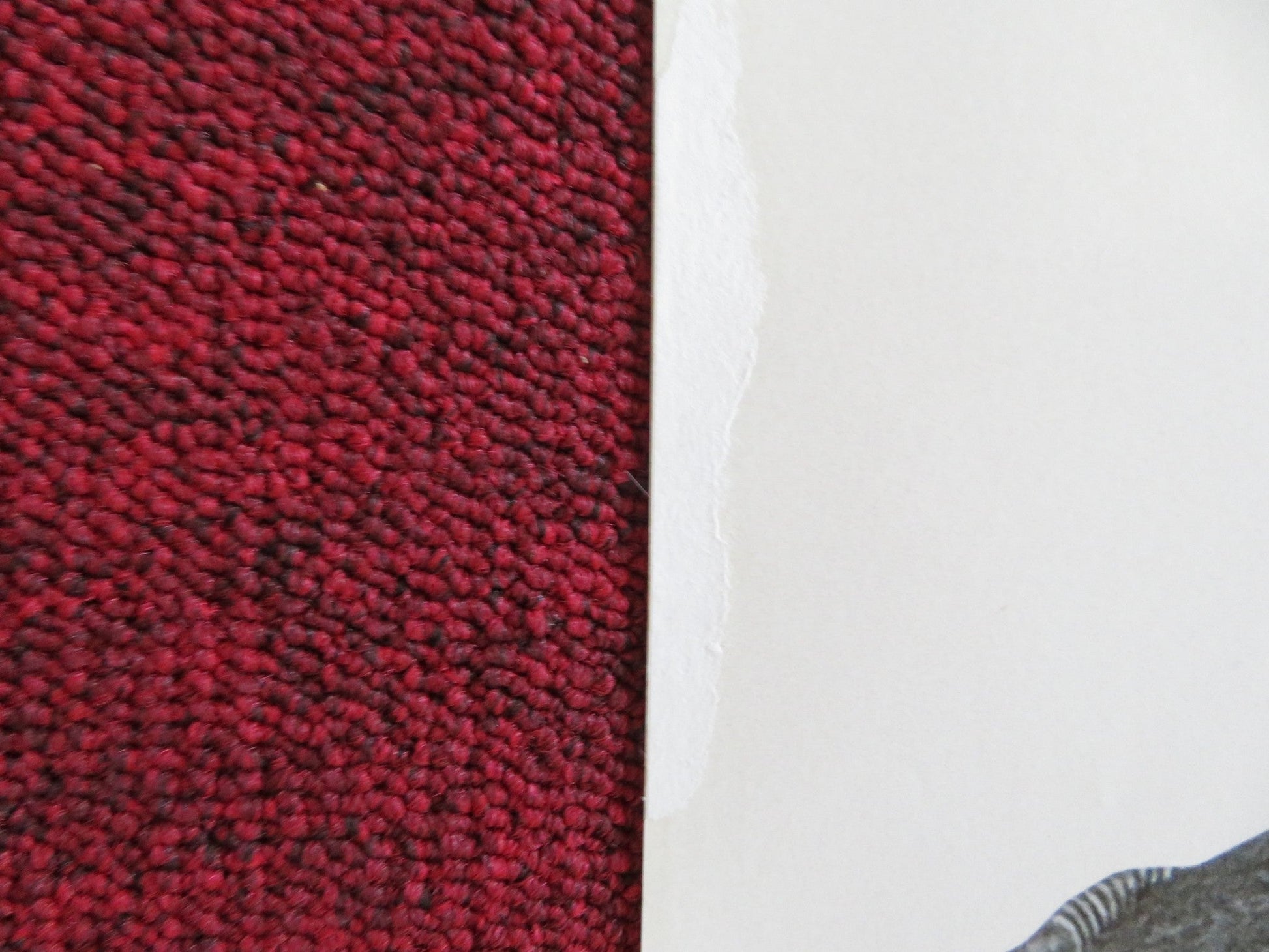 GET SMART US ONE SHEET ROLLED POSTER STEVE CARELL ANNE HATHAWAY 2008 Rendezvous Cinema Movie posters