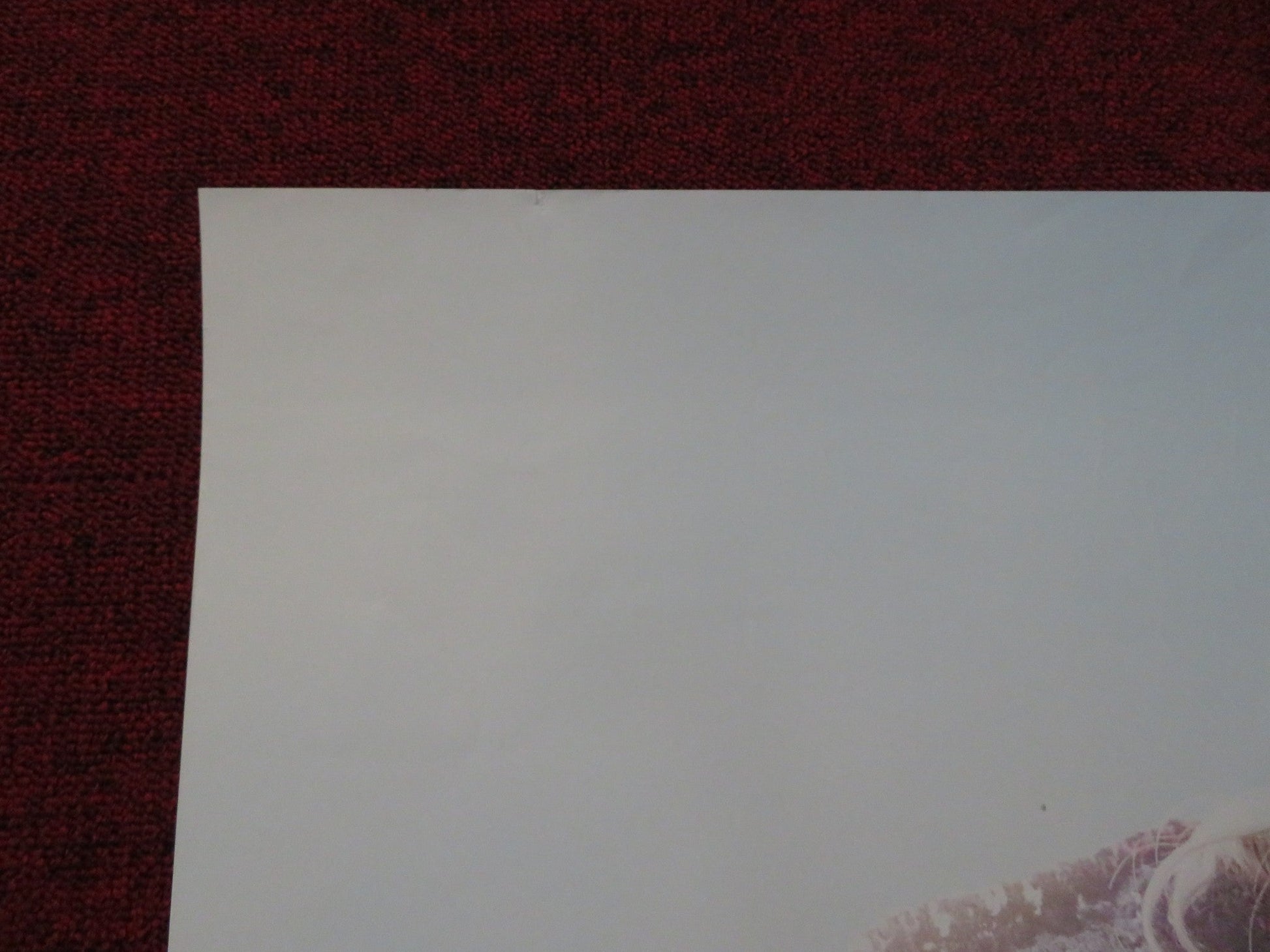 GIFTED UK ONE SHEET ROLLED POSTER CHRIS EVANS MCKENNA GRACE 2017 Rendezvous Cinema Movie posters