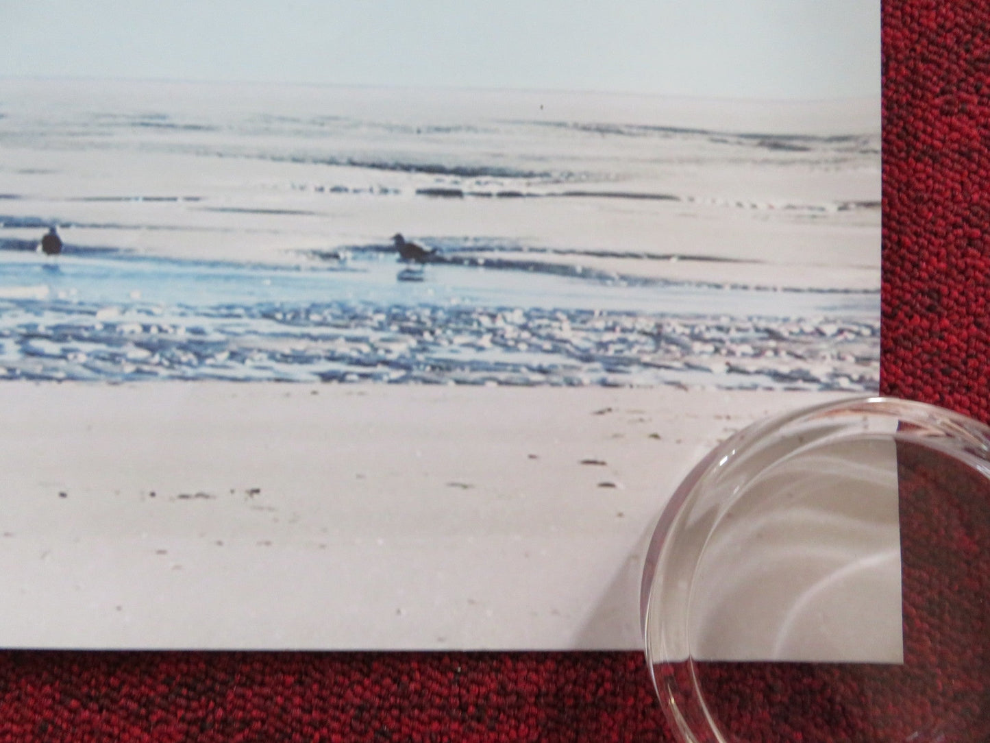 GIFTED UK QUAD ROLLED POSTER CHRIS EVANS MCKENNA GRACE 2017 Rendezvous Cinema Movie posters