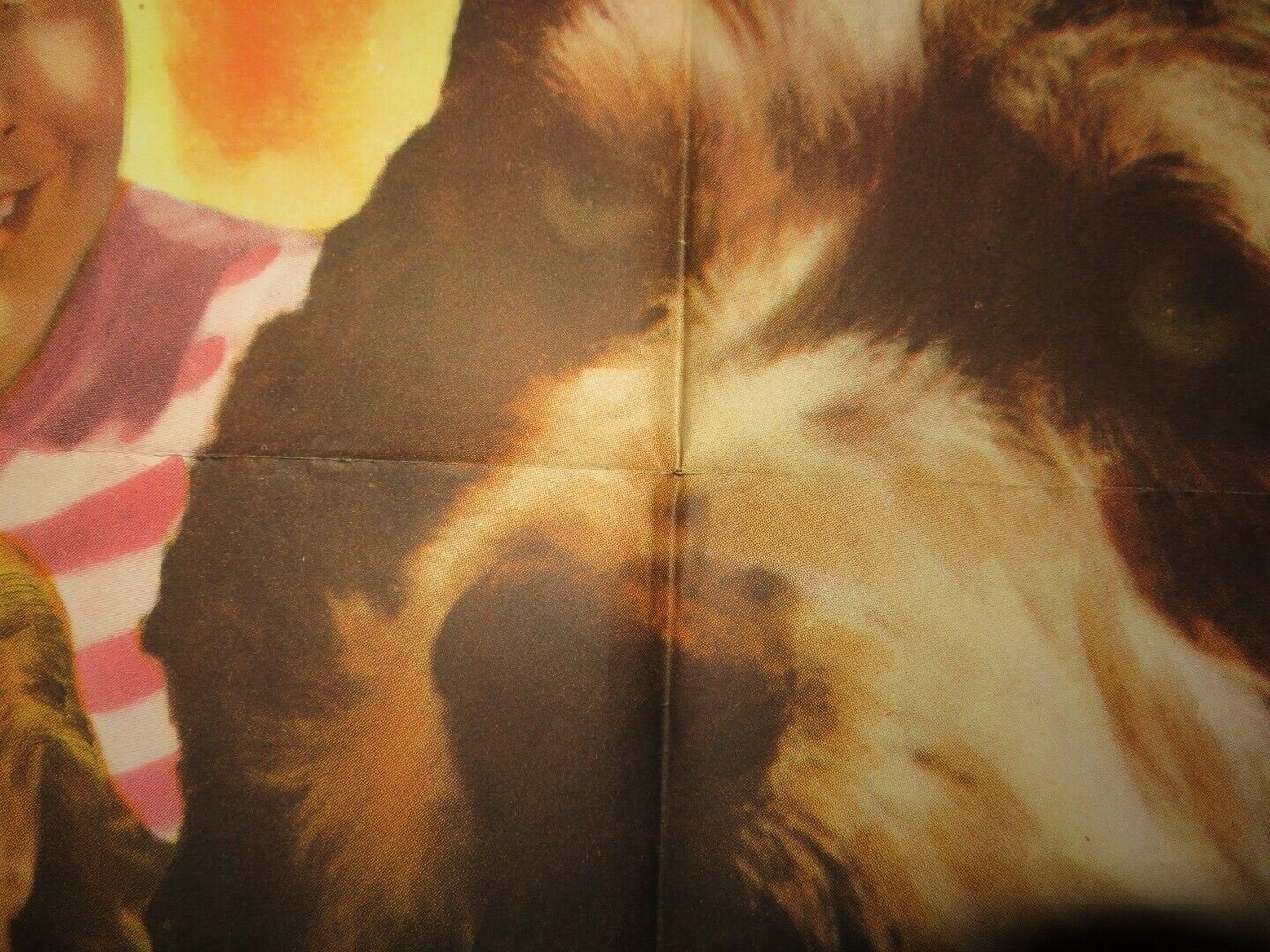 GINGER FOLDED US ONE SHEET POSTER FRANK ALBERTSON BARBARA REED 1946 Movie posters