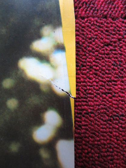 GIOCHI PERVERSI DI UNA SIGNORA BENE ITALIAN FOTOBUSTA POSTER SENTA BERGER 1976 Rendezvous Cinema Movie posters