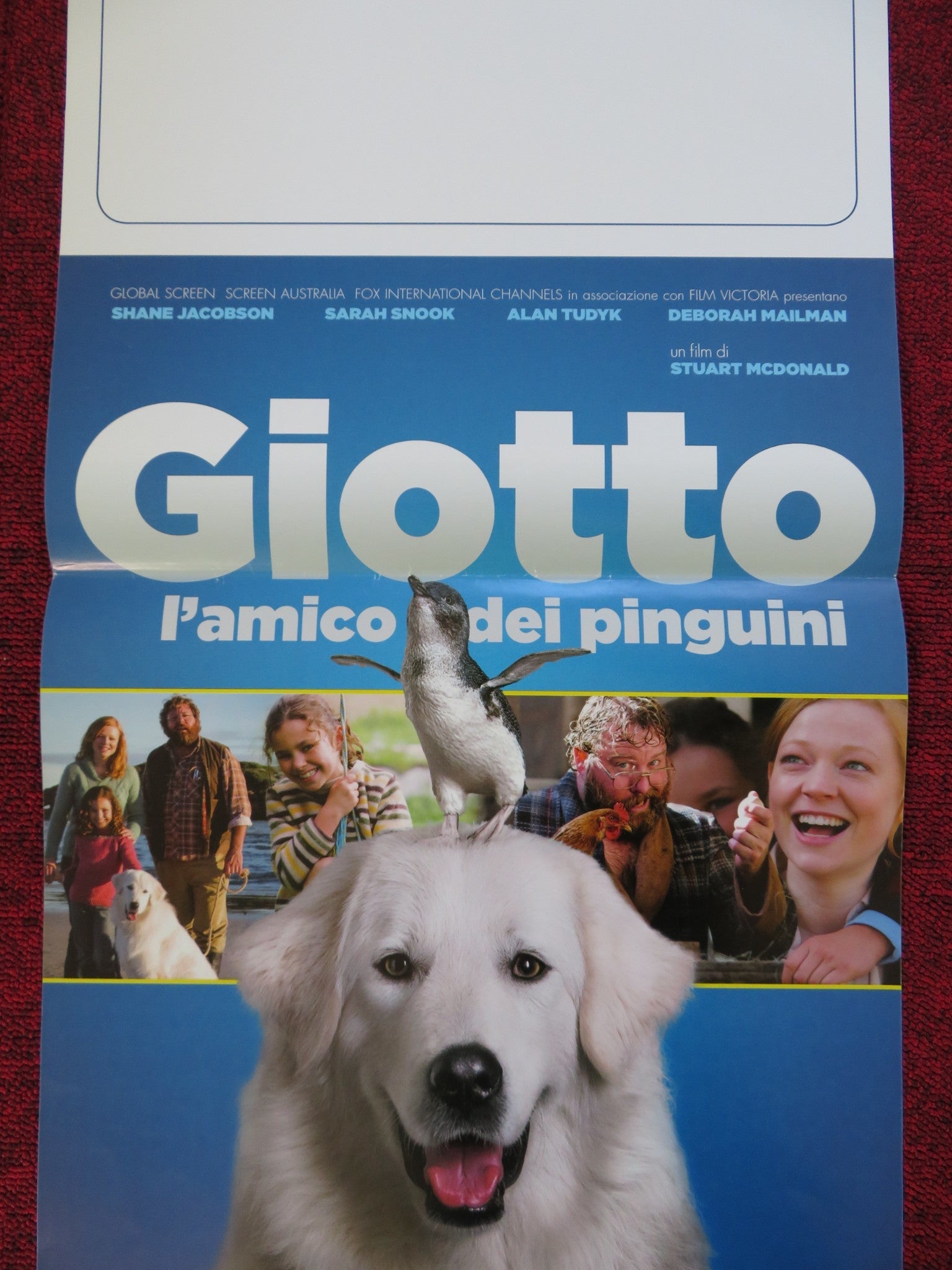 GIOTTO L'AMICO DEI PINGUINI ITALIAN LOCANDINA (26.5"x12.5") POSTER 2015 Rendezvous Cinema Movie posters
