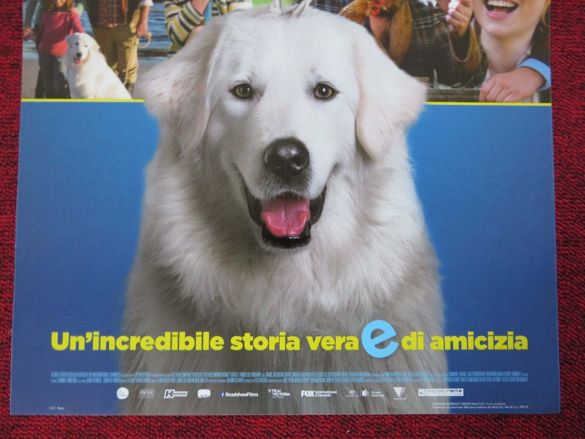 GIOTTO L'AMICO DEI PINGUINI ITALIAN LOCANDINA (26.5"x12.5") POSTER 2015 Rendezvous Cinema Movie posters