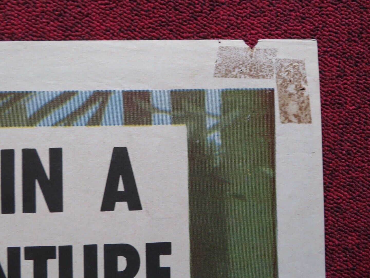 GIRL IN THE WOODS US ONE SHEET POSTER FORREST TUCKER MARGARET HAYES 1958 Movie posters