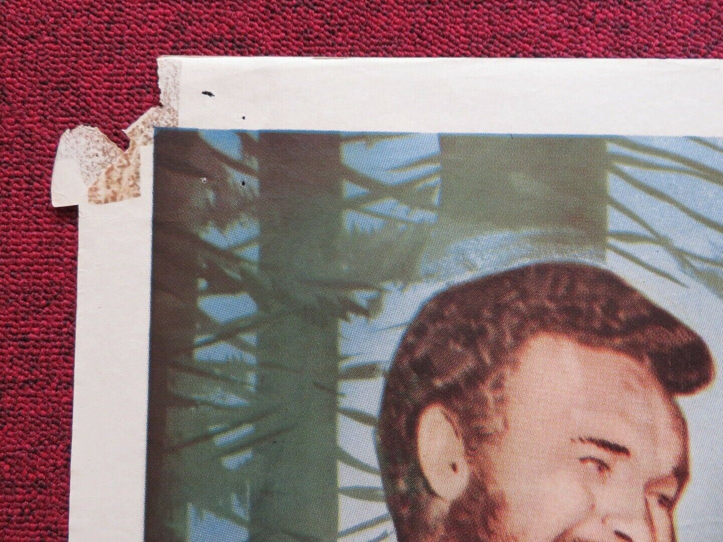 GIRL IN THE WOODS US ONE SHEET POSTER FORREST TUCKER MARGARET HAYES 1958 Movie posters