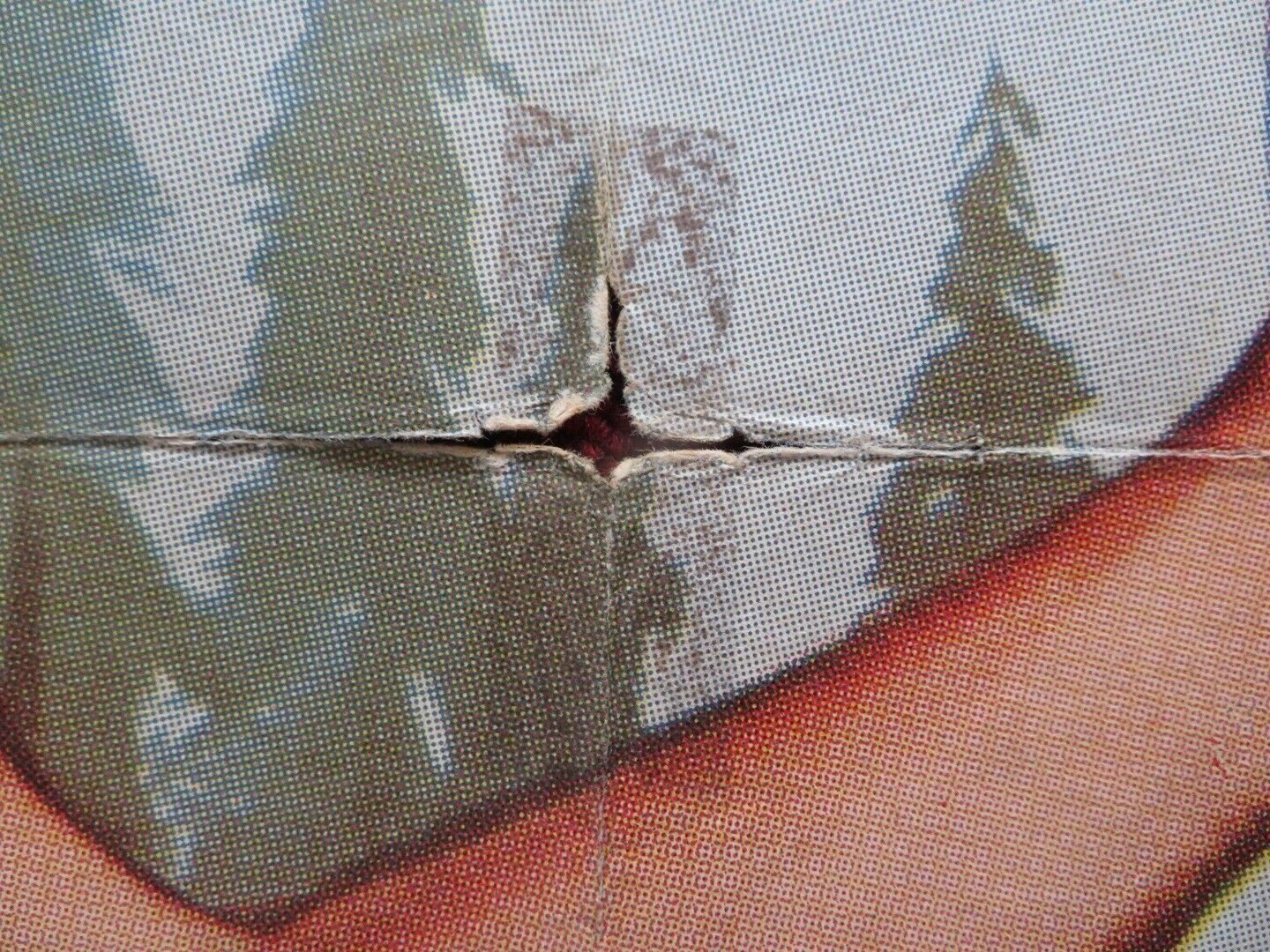 GIRL IN THE WOODS US ONE SHEET POSTER FORREST TUCKER MARGARET HAYES 1958 Movie posters