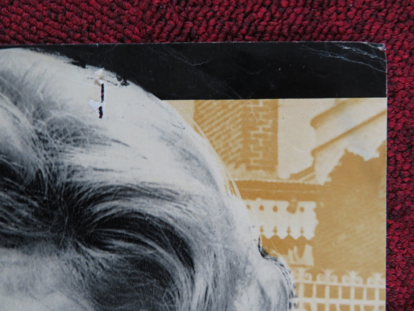 GIUNGLA DI CEMENTO ITALIAN FOTOBUSTA POSTER STANLEY BAKER MARGIT SAAD 1960 Rendezvous Cinema Movie posters