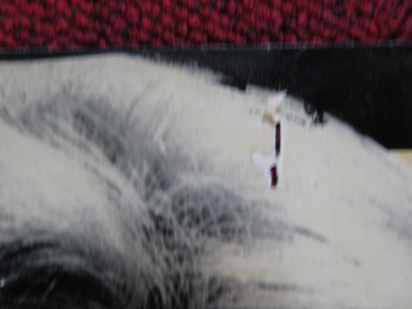 GIUNGLA DI CEMENTO ITALIAN FOTOBUSTA POSTER STANLEY BAKER MARGIT SAAD 1960 Rendezvous Cinema Movie posters