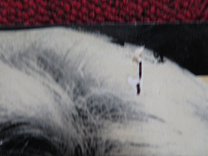 GIUNGLA DI CEMENTO ITALIAN FOTOBUSTA POSTER STANLEY BAKER MARGIT SAAD 1960 Rendezvous Cinema Movie posters