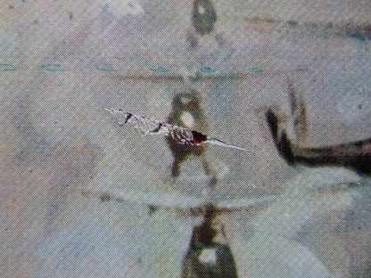 GLI ARDITI DEL 7 FUCILIERI ITALIAN FOGLIO ROLLED POSTER MICHAEL CONNORS 1958 Movie posters