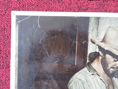 GLI ORGOGLIOSI / THE PROUD AND THE BEAUTIFUL - B ITALIAN FOTOBUSTA POSTER 1953 - Rendezvous Cinema