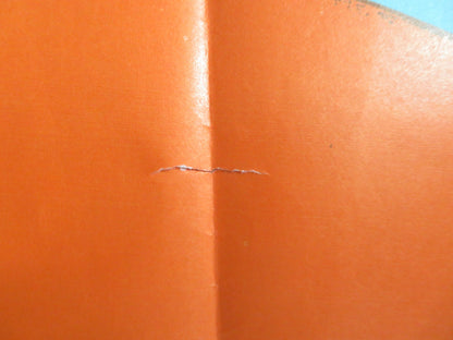 GLI ULTIMI ANGELI ITALIAN 2 FOGLIO POSTER NATHALIE DELON PHILIPPE LEROY 1978 Rendezvous Cinema Movie posters