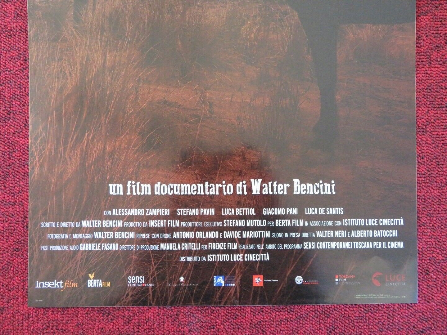 GLI ULTIMI BRUTTERI ITALIAN LOCANDINA (26.5"x12.5") POSTER STEFANO PAVIN 2018 Rendezvous Cinema Movie posters