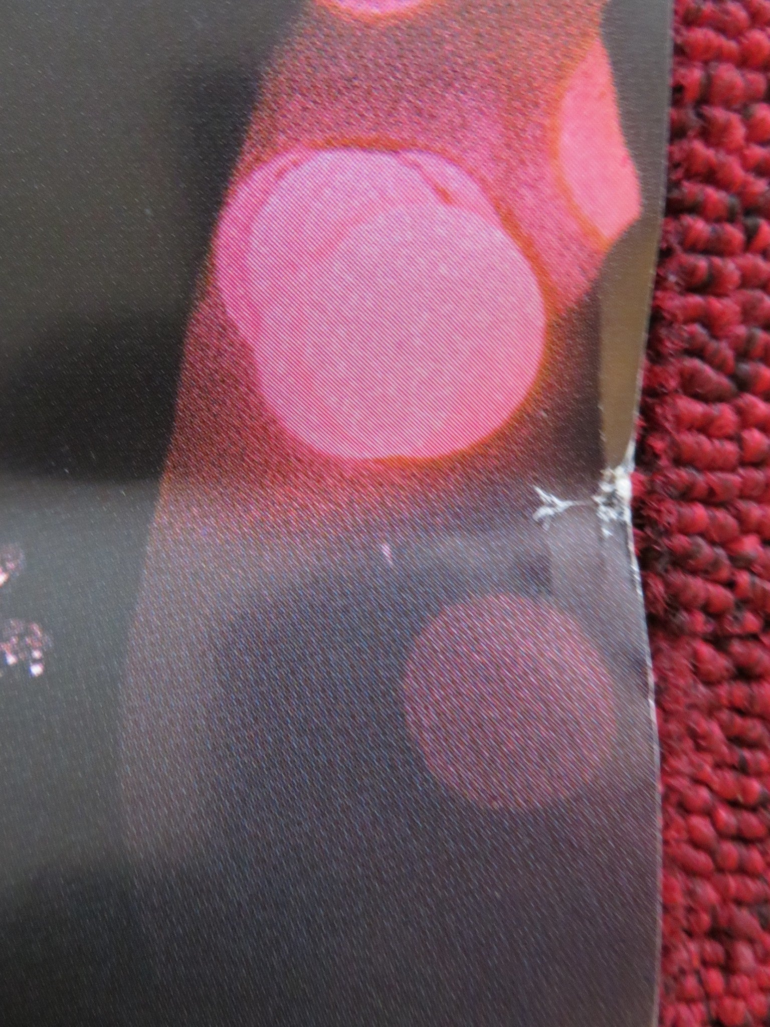 GLORIA BELL ITALIAN LOCANDINA POSTER JULIANNE MOORE JOHN TURTURRO 2018 Rendezvous Cinema Movie posters