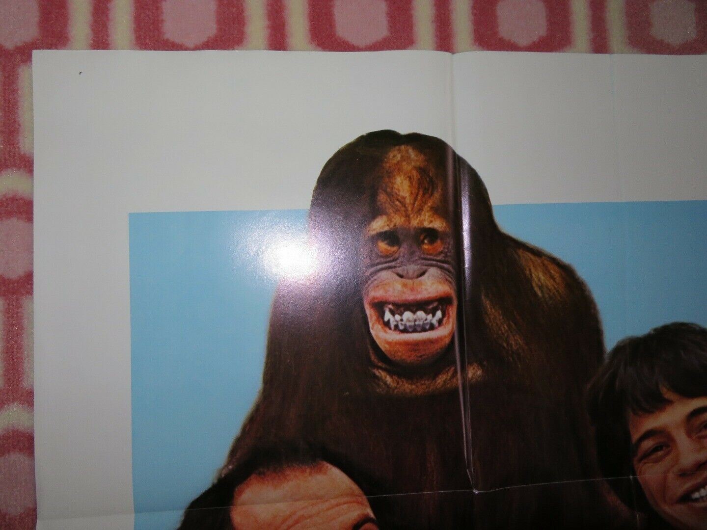 GOING APE US ONE SHEET POSTER TONY DANZA DANNY DEVITO 1981 Movie posters